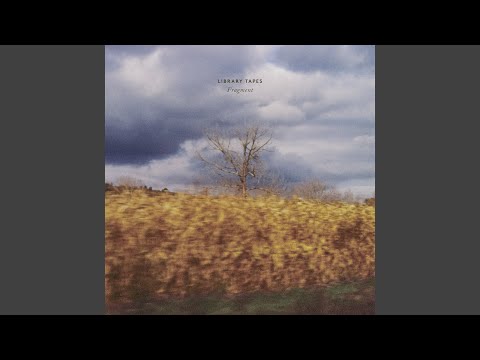 Library Tapes: Fragment VIII