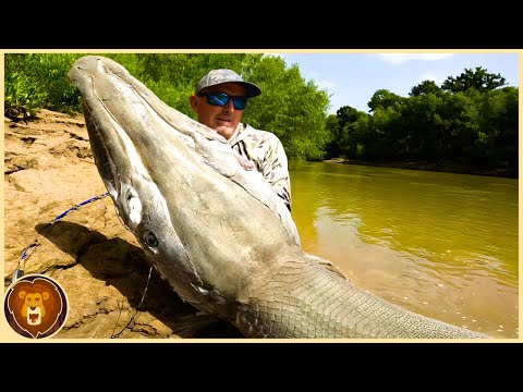 13 riesige Flussmonster, die nur einmal in tausend Jahren gefangen werden