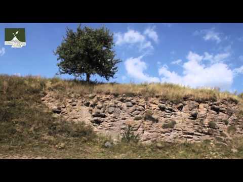 Microcanionul în bazalt de la Hoghiz