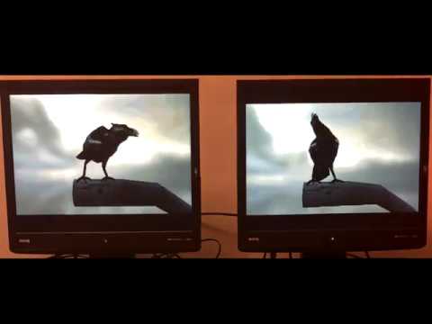 Amiga 1260 vs Atari Falcon 060. feat: "Starstruck / TBL" demo