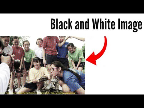 Best Optical Illusions