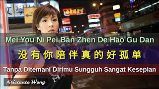 Download lagu Mei You Ni Pei Ban Zhen De Hao Gu Dan 没有你陪... mp3