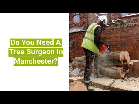 Woodfelder Tree Care Limited video.