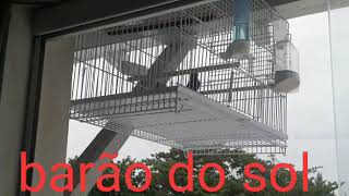 Barão do Sol