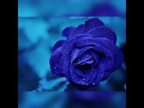 Jay Leemo - Улетай.Музыка 2022.