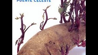 Puente Celeste - Pasando el Mar  (2002) (Disco Completo)