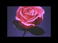 DUDLEY PERKINS FLOWERS