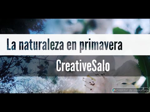 Imágenes de la Naturaleza en primavera #flores #árboles Vídeo /inspiración #creativesalo