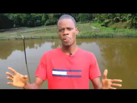 , title : 'Fish Farming in Nigeria (+ Free Practical Training on Our Farm)'