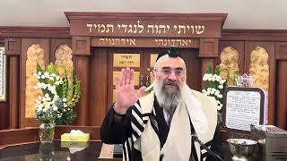 מה מברכים על פרות וירקות בעציץ נקוב ואלה שגדלים על המים (הרב יצחק ישראלי) - התמונה מוצגת ישירות מתוך אתר האינטרנט יוטיוב. זכויות היוצרים בתמונה שייכות ליוצרה. קישור קרדיט למקור התוכן נמצא בתוך דף הסרטון