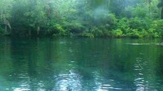 silver river state park  july 09