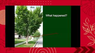 2025 HGW: Trees and Shrubs for the Home Landscape