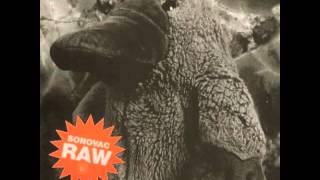 Sonovac - Human Fly