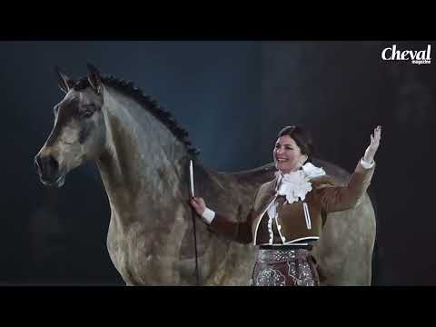 Reportage Cheval Magazine