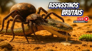 Planeta Implacável: Insetos em Guerra pela Sobrevivência - 24 Horas