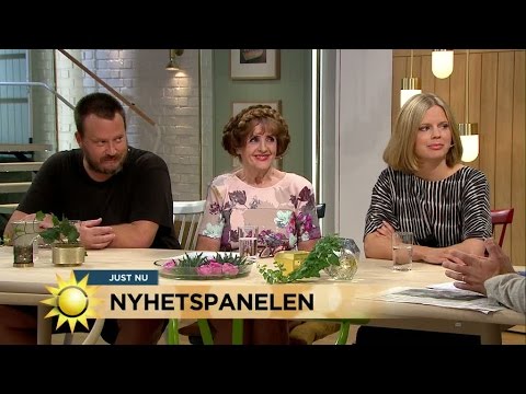 Nyhetspanelen: Äldrevården och SD-kampanjen - Nyhetsmorgon (TV4)