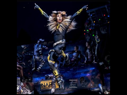 Alex Snova - Rum Tum Tugger - CATS the Musical. Vienna revival 2019/22