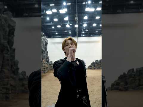 🏃🦊 #StrayKids #스트레이키즈 #아이엔 #I_N #THIS_AND_THAT #RUN_IT #YouMakeStrayKidsStay #Shorts