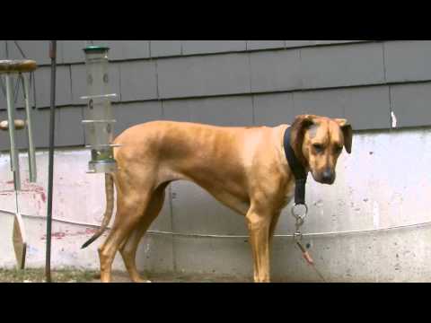 Happy Birthday Jasmine!