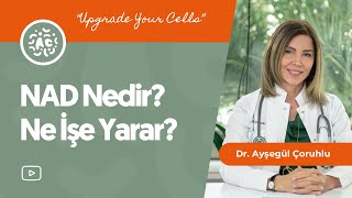 Gençliğin sırrı. NAD Nedir? Ne İşe Yarar?