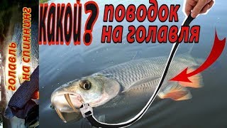 Какой поводок лучше для ловли голавля