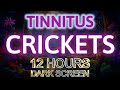 Tinnitus Sound Therapy Crickets 12 Hours Of Blissful  Soothing Cricket Sounds & Serene Dark Screen