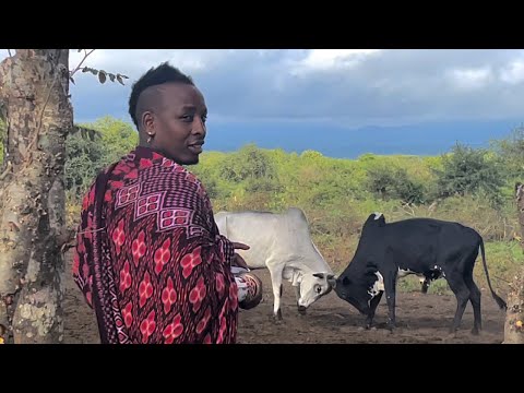 Inside the Dangerous Life of a Remote African Warrior Tribe