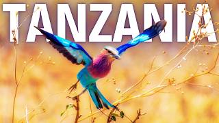 Why Tanzania Is the Best Value Destination in Africa | Travel Guide