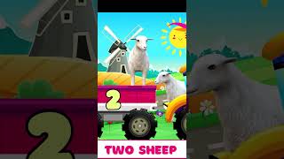 Two Sheep | Learn Number 2
