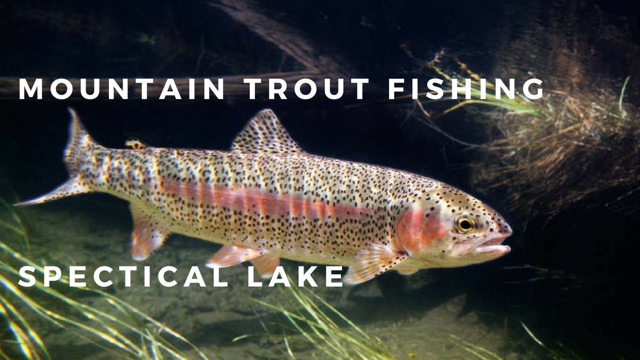 Can you fish Spectacle lake? Tipseri