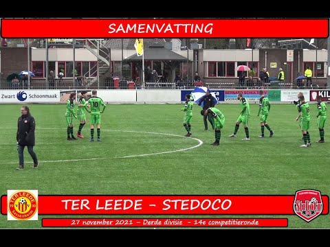 Samenvatting Ter Leede - SteDoCo (27/11/21)