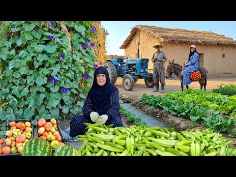Village life in western Iran: Harvesting Organic Okra and Cooking traditional Okra Ghorme | ILAM 