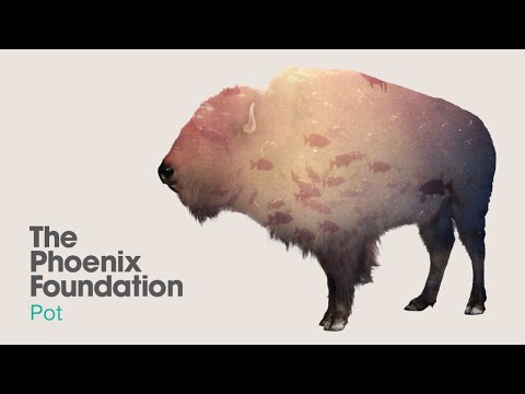 Pot - The Phoenix Foundation