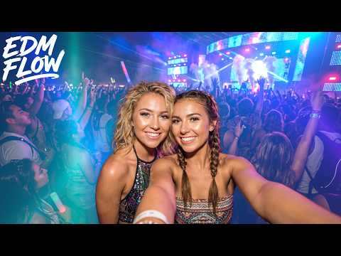 Festival Energy | Nonstop EDM, Bass Drops & Crowd Vibes | EDM Flow V12