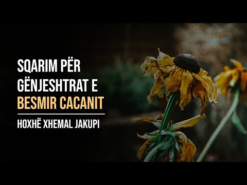 Sqarim për gënjeshtrat e Besmir Cacanit Hoxhë Xhemal Jakupi