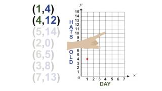 4.10 - Real World Problems on the Coordinate Plane