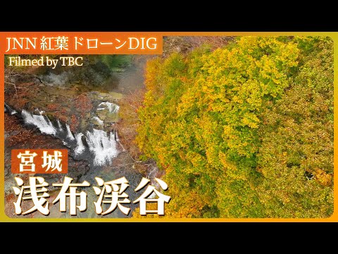 栗原市・浅布渓谷の紅葉【JNN 紅葉ドローンDIG 2024】｜TBS NEWS DIG