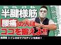 腰痛の人はここを鍛えよう！CHICKEN HEART TV vol.188座学