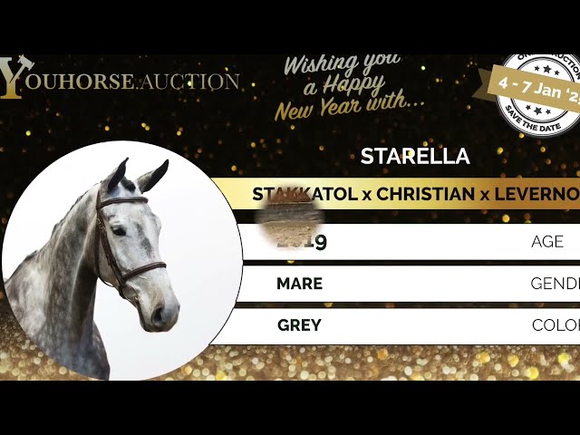 Starella homevideo