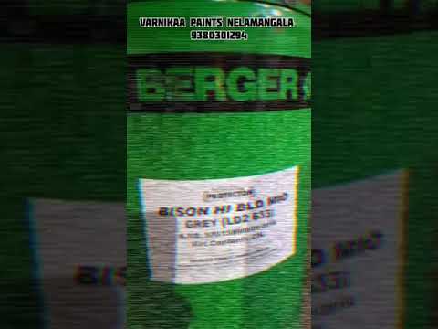 Bison HB MIO Paint