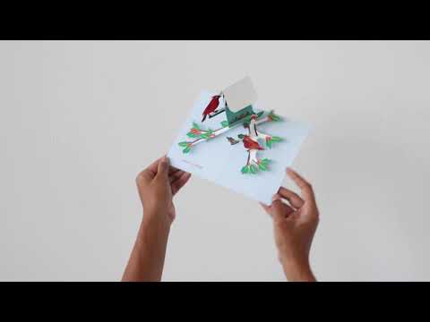 Cardinal Birdhouse Holiday Cards - Set of 8