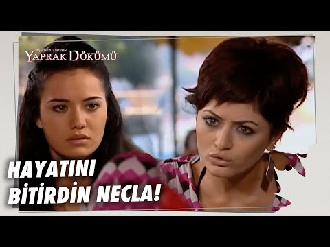 Ferhunde Ve Necla Buluştu! - Yaprak Dökümü 39. Bölüm