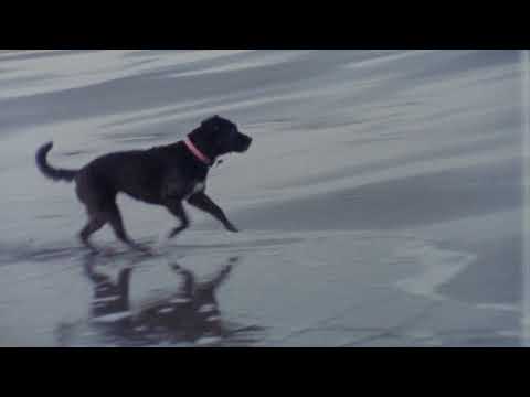 Clara Mann - Travelling Clothes [Official Visualiser]