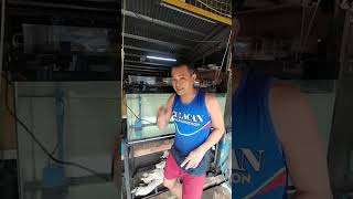 75gallon tank new set up/ ano ang dapat gawin
