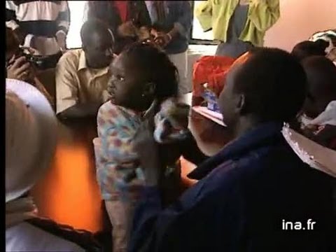 Off undocumented Saint Bernard