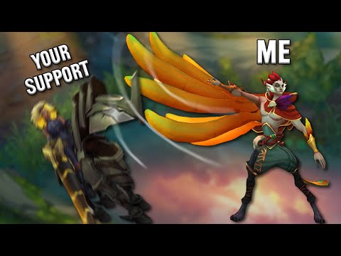 Biofrost - Support Gap