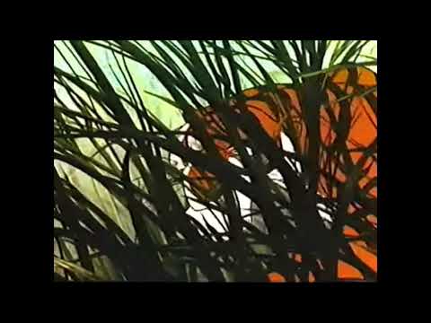 The Jungle Book (1967) Meet Shere Khan