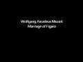 Wolfgang Amadeus Mozart - Marriage Of Figaro ...