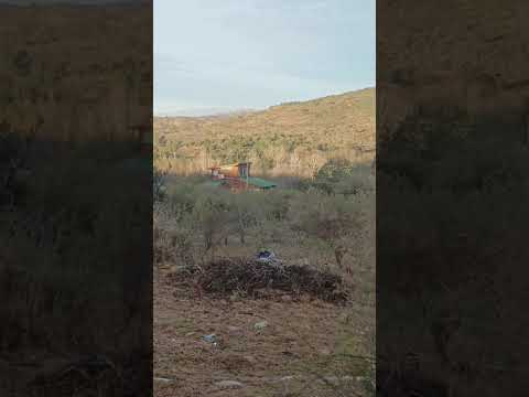 LOTE TANTI VIDEO