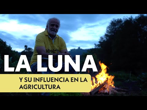 LA LUNA Y SU INFLUENCIA EN LOS CULTIVOS 🌒🌱 | Jairo Restrepo Rivera